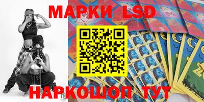 прущие грибы Будённовск