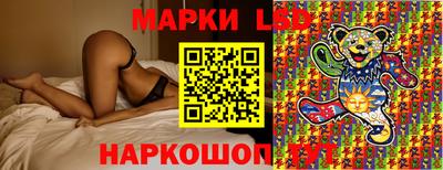 прущие грибы Будённовск