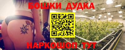 прущие грибы Будённовск