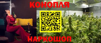 прущие грибы Будённовск
