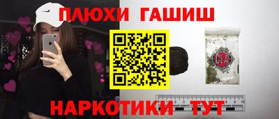 прущие грибы Будённовск
